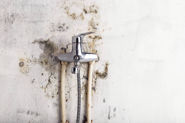 Best Water Damage Restoration  in Mills, WY