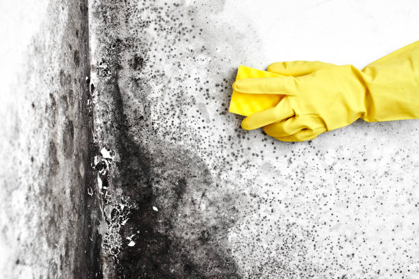 Water Damage Restoration in Mills, WY