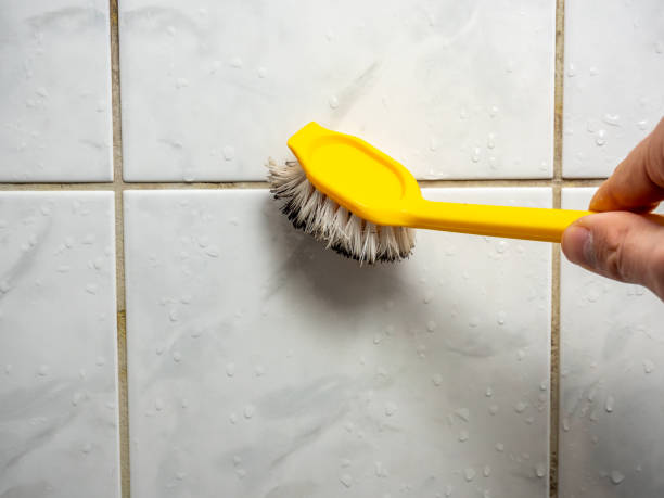 Best Home Mold Removal  in Mills, WY