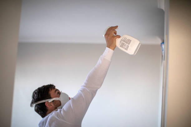 Best Affordable Mold Removal  in Mills, WY