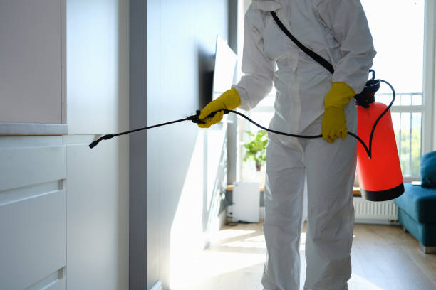 Crawl Space Mold Removal in Mills, WY