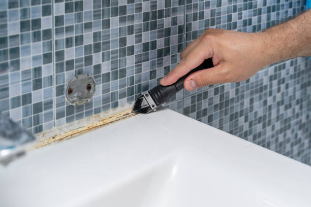 Best Commercial Mold Removal  in Mills, WY
