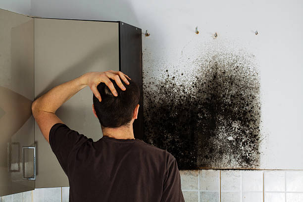 Best Residential Mold Removal  in Mills, WY